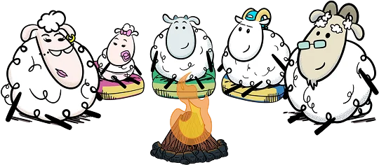 Sheeps gathering together